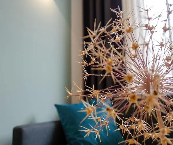 Homely 9 - Stylish & Convenient Self-check-in In *